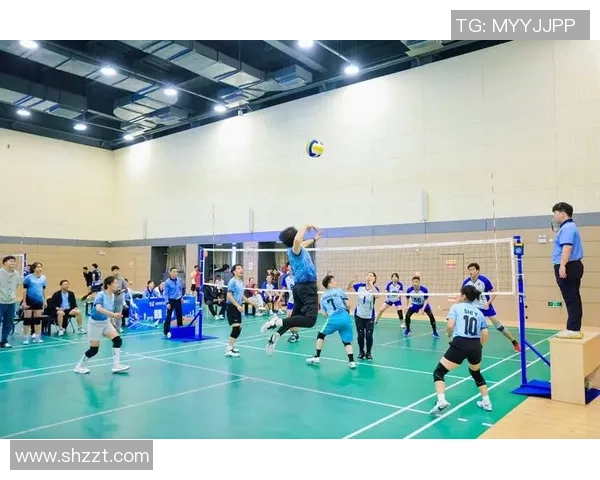 杭州排球队在欧锦赛中的技术表现分析与点评