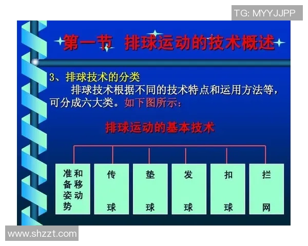 重庆排球队反击战术深度解析与实战应用探讨